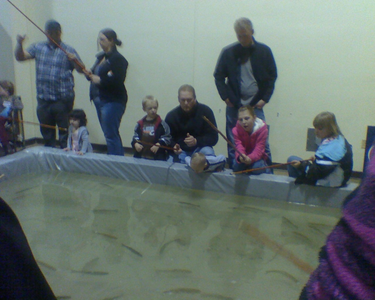 fish pond